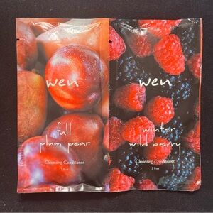 WEN Fall Plum Pear & Winter Wild Berry Cleansing Conditioner Travel